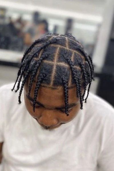 Black Men's Haircuts Braids