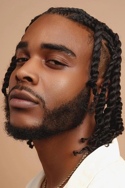 Black Men's Haircuts Braids