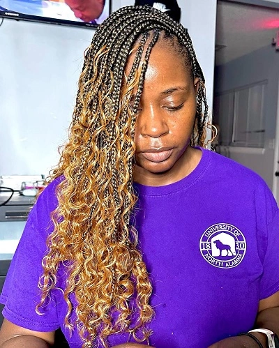 Boho Goddess Braids with Color Ombre