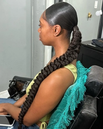 Butterfly Braided Ponytail