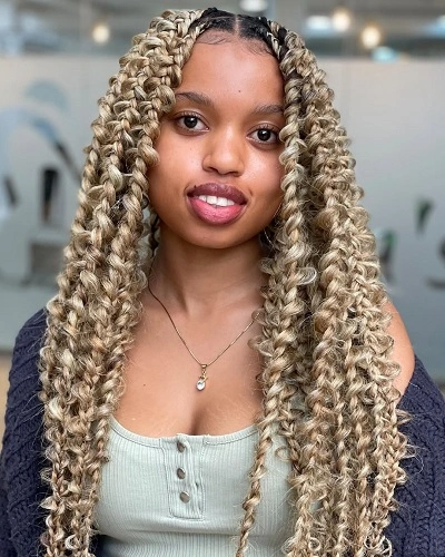 Butterfly Braids Box Braids