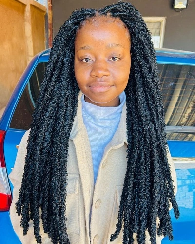 Butterfly Twist Braids