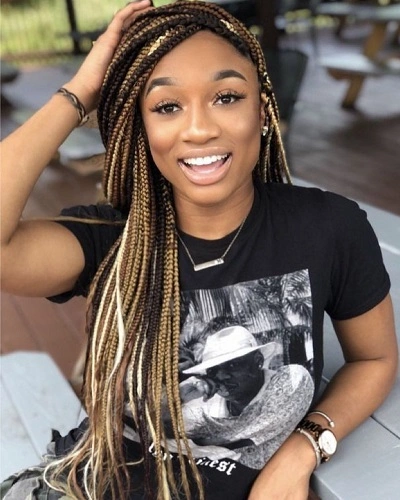 Braids Color 1B and 613
