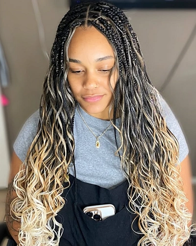 Braids Color 1B and 613