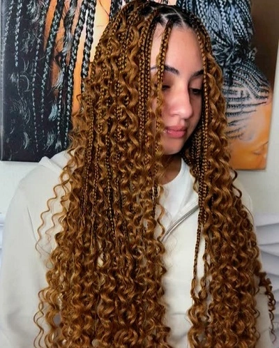 Braids Color 27 and 30