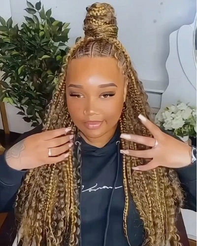 Braids Color 27 and 30