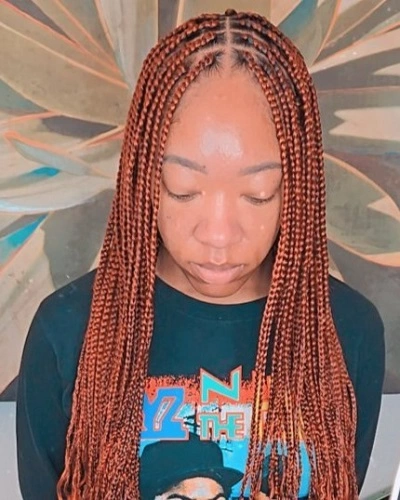Braids Color 350