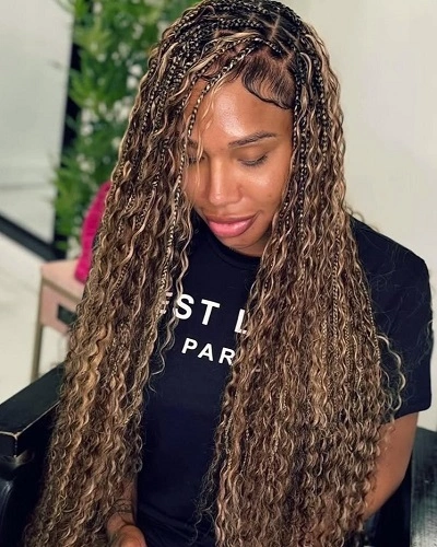 Braids Color 4 and 27