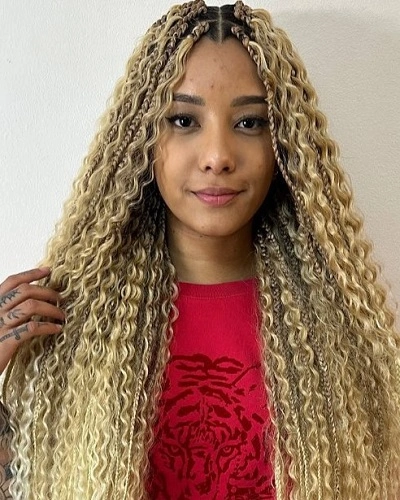 Braids Color 613 and 27