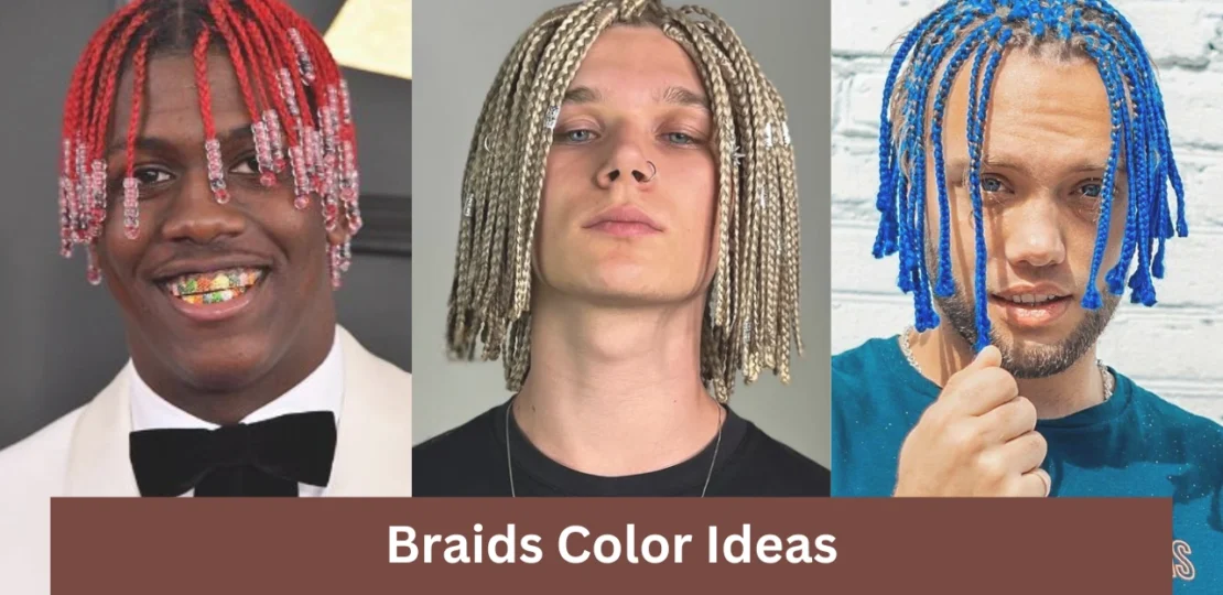 Braids Color Ideas
