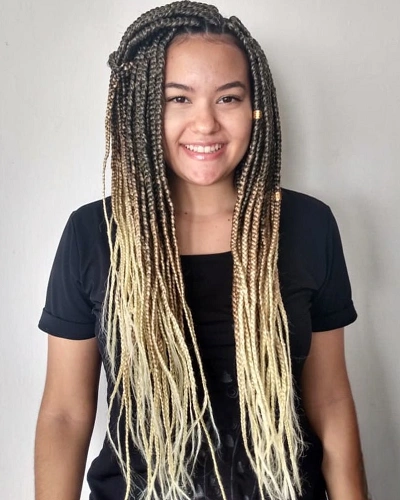 Braids Color Ideas