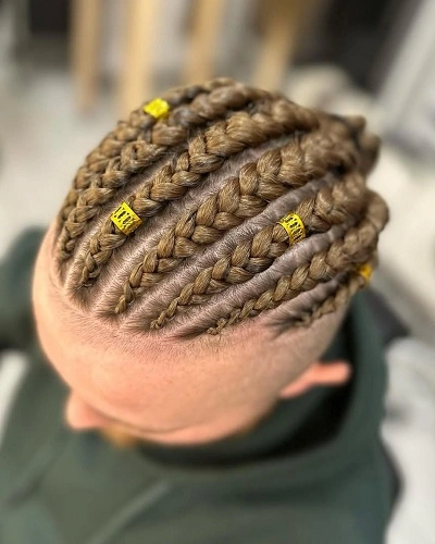 Brown Braids for Men