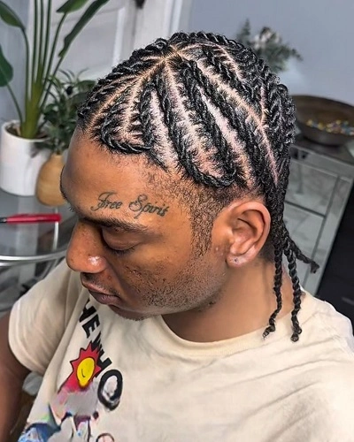 Flat Twist Designs Braids Men