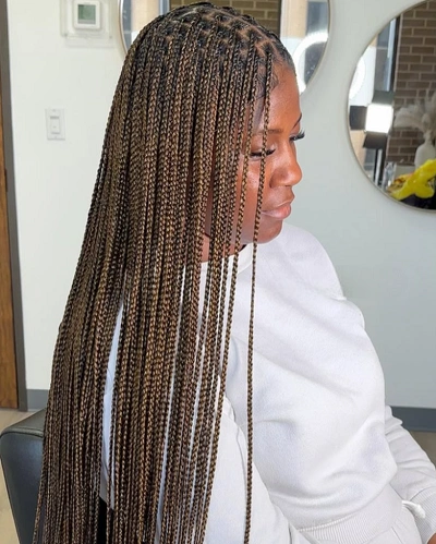 Knotless Braids Color 27 and 30