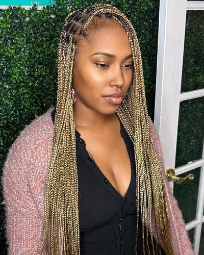 Knotless Braids Color 27 and 613