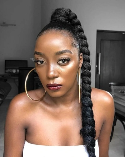 Long Twisted Ponytail