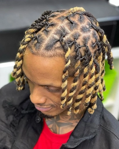 Ombre Twist Braids Men