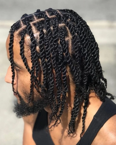 Senegalese Twist Braids Men