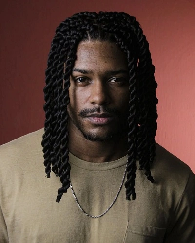 Twist Braids Men