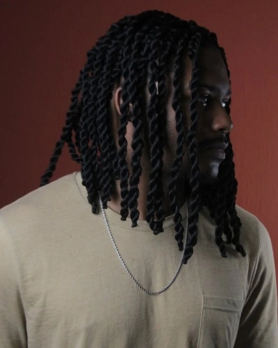 Twist Braids Men