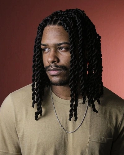 Twist Braids Men
