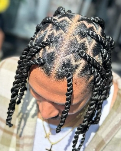 Zig Zag Part Twist Braids Men