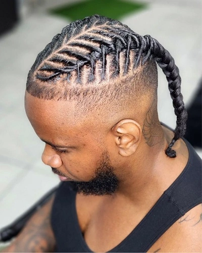 Fishtail Braids African