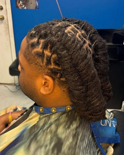 Fishtail Braids African