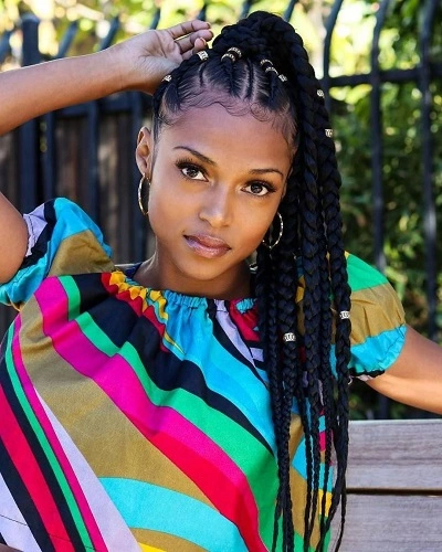 Senegalese Twist in Ponytail for Women
